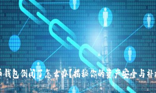 虚拟币钱包倒闭了怎么办？揭秘你的资产安全与补救策略