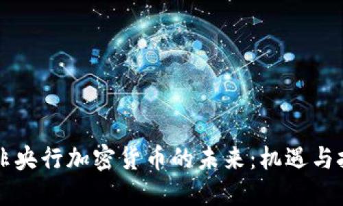 南非央行加密货币的未来：机遇与挑战