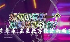 虚拟星号币：未来数字经济的明星资产