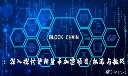: 深入探讨伊朗货币加密项目：机遇与挑战
