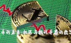 中国虚拟币的未来：机遇与挑战并存的数字货币