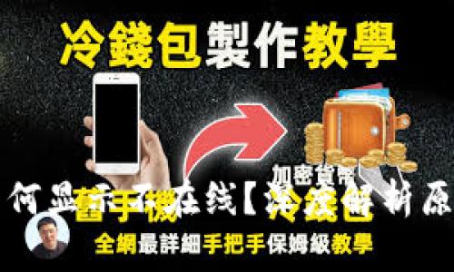 瑞波币钱包为何显示不在线？深度解析原因与解决方法