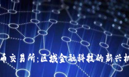 香港虚拟币交易所：区域金融科技的新兴机会与挑战