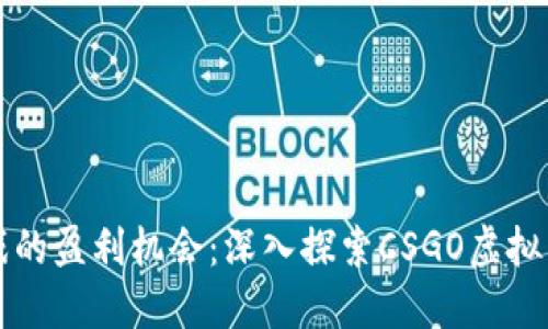 狂热游戏的盈利机会：深入探索CSGO虚拟币的世界