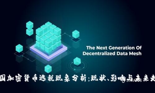美国加密货币逃税现象分析：现状、影响与未来走向