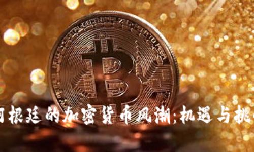 阿根廷的加密货币风潮:机遇与挑战