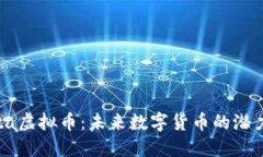 揭秘Mita虚拟币：未来数字货币的潜力与挑战