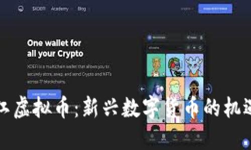 揭秘庐江虚拟币：新兴数字货币的机遇与挑战
