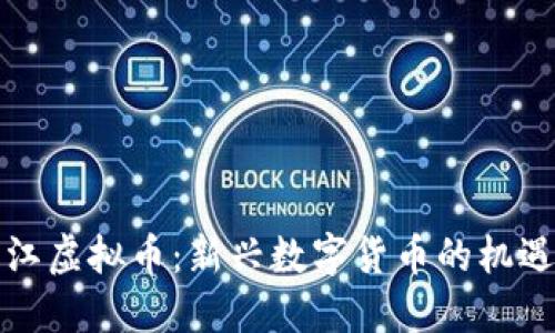 揭秘庐江虚拟币：新兴数字货币的机遇与挑战