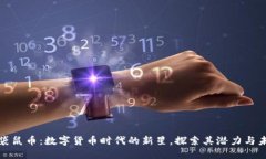 : 袋鼠币：数字货币时代的新星，探索其潜力与未