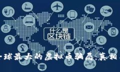 揭秘全球最大的虚拟币骗局：真相与教训