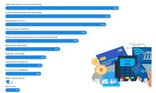 虚拟币市场暴跌的背后：原因揭秘与未来展望