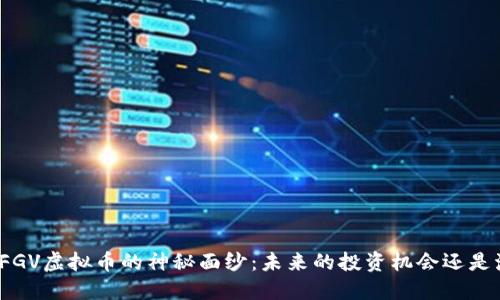 揭开FGV虚拟币的神秘面纱：未来的投资机会还是泡沫？