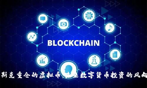 马斯克重仓的虚拟币：未来数字货币投资的风向标