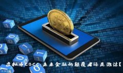  虚拟币CBCC：未来金融的颠覆者还是泡沫？