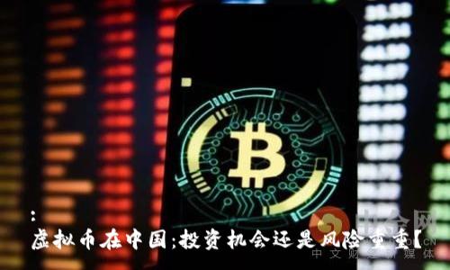 :
虚拟币在中国：投资机会还是风险重重？