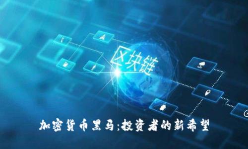 加密货币黑马：投资者的新希望