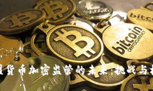 欧盟货币加密监管的未来：挑战与机遇
