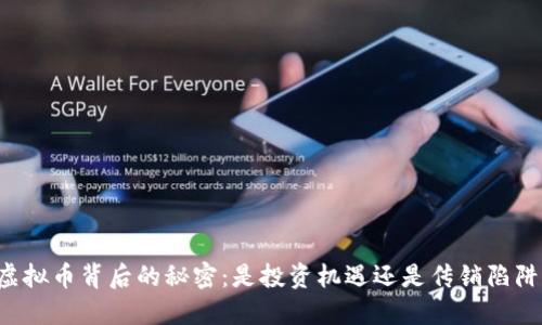 虚拟币背后的秘密：是投资机遇还是传销陷阱？
