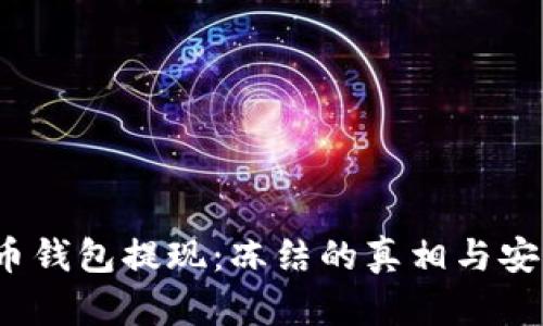  虚拟币钱包提现：冻结的真相与安全策略