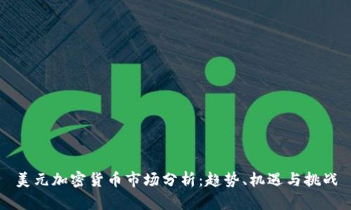 美元加密货币市场分析：趋势、机遇与挑战