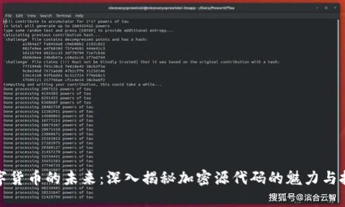 数字货币的未来：深入揭秘加密源代码的魅力与挑战