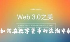 OMG虚拟币：如何在数字货币的浪潮中抓住投资机