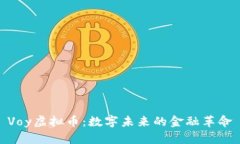 Voy虚拟币：数字未来的金融革命