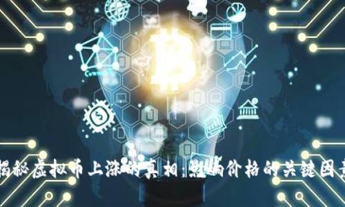 揭秘虚拟币上涨的真相：影响价格的关键因素