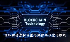 深入探讨虚拟币匿名地址的认定与挑战