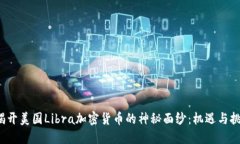  揭开美国Libra加密货币的神秘面纱：机遇与挑战