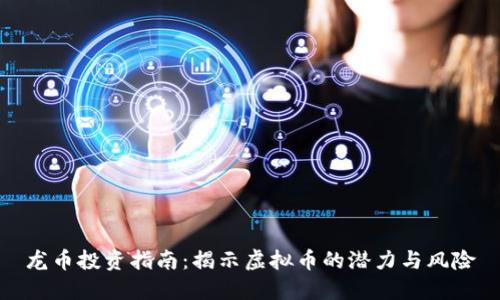 龙币投资指南：揭示虚拟币的潜力与风险