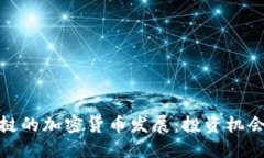 探索老挝的加密货币发展:投资机会与挑战