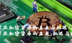 疑问萨摩亚加密货币的未来与机遇/疑问  探索萨