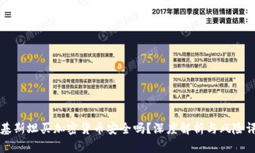 巴基斯坦买加密货币安全吗?深度解析与风险评估