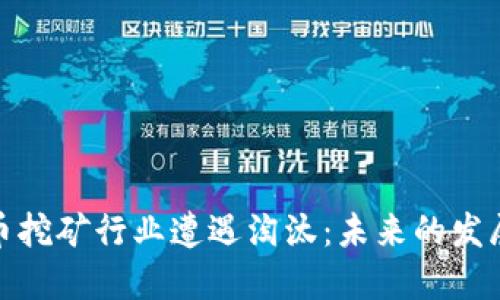 海南的虚拟币挖矿行业遭遇淘汰:未来的发展与转型之路
