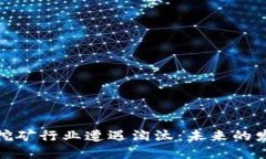 海南的虚拟币挖矿行业遭遇淘汰:未来的发展与