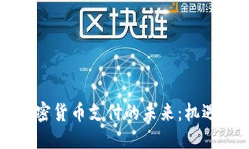 美国加密货币支付的未来：机遇与挑战