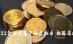 2022金融风暴下的虚拟币:机遇与挑战