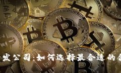 虚拟币开发公司:如何选择最合适的合作伙伴?