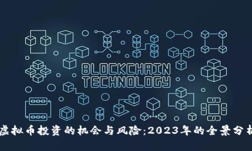 虚拟币投资的机会与风险：2023年的全景分析