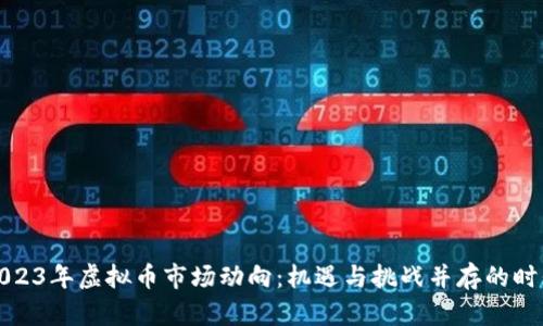 2023年虚拟币市场动向:机遇与挑战并存的时代