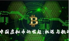 中国虚拟币的崛起：机遇与挑战
