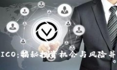 : 菲律宾加密货币ICO：揭秘投资机会与风险并存的