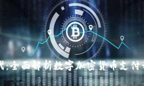 开启数字新时代：全面解析数字加密货币支付开发的实用价值