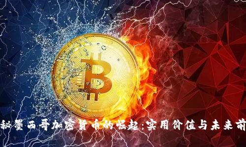 探秘墨西哥加密货币的崛起:实用价值与未来前景