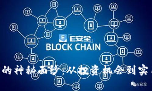 揭开虚拟货币ELS的神秘面纱:从投资机会到实用价值的深度解析