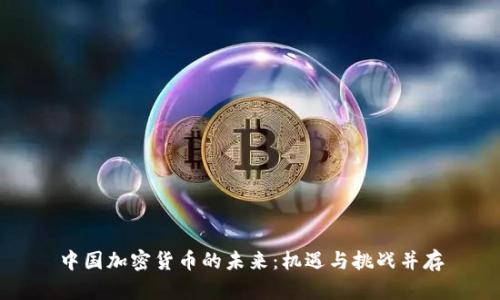 中国加密货币的未来:机遇与挑战并存