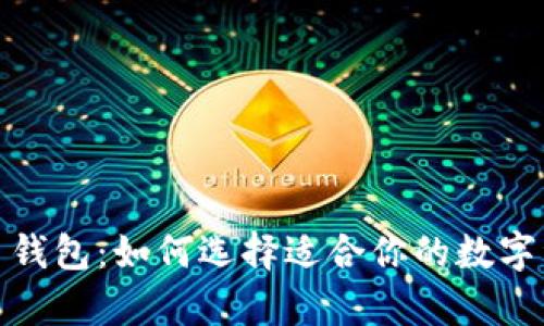 最牛的虚拟币钱包:如何选择适合你的数字资产储存工具