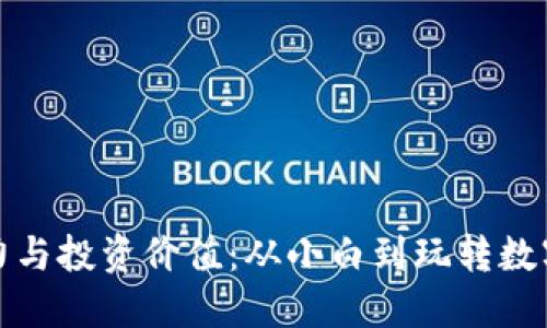 探索虚拟币的魅力与投资价值:从小白到玩转数字货币的实用指南